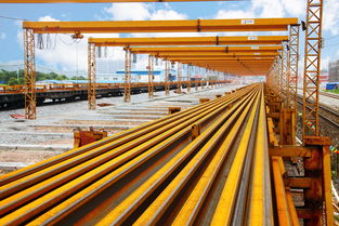 黃金鋼軌免漆扣板 現代裝飾中的實用與美學革新